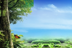 夏日森林出游蓝天天空背景