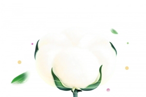 白色棉花蓬松卡通