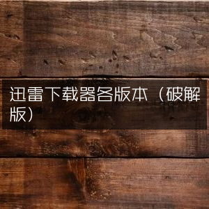 迅雷下载器多版本合集（含非官方版）