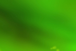 绿色自然 清新淡雅 文艺 简约 风景