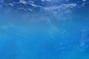 蓝色大气唯美海底世界背景素材