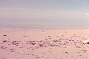 海边沙滩美女背景