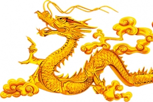 金龙高清免扣素材