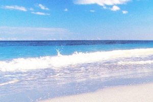 婚纱照外景海景背景banner