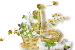 花篮 绿叶 白花 png素材