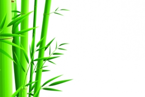 绿色竹干卡通端午