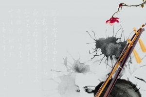 二胡演奏音乐会音乐培训