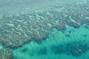 珊瑚礁 珊瑚礁 海洋 底部 4k壁纸 3840x2160