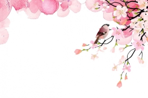 春暖花开粉嫩