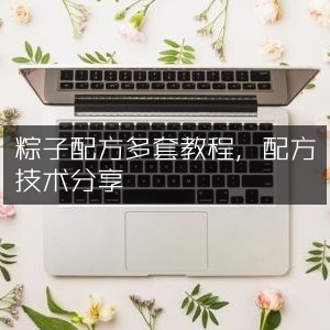 粽子制作多套配方教程与技术分享