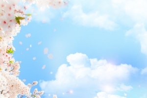 春天自然梦幻唯美风光蓝色banner