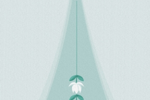 绿色清新植物海报
