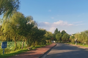 扬子津的午后