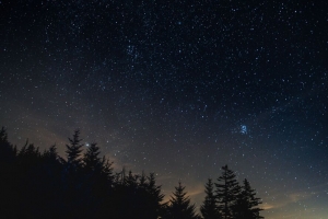 星空 夜晚 树木 夜间景观 4k壁纸 3840x2160