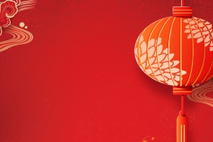 2019年猪年新年海报