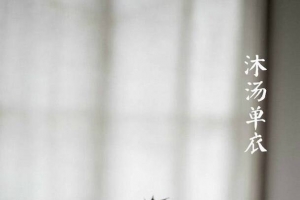 节令创意字体清新