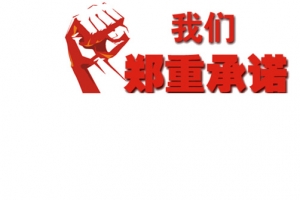 我们郑重承诺艺术字