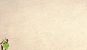 葡萄酒纹理背景banner