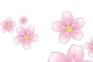 唯美花朵
