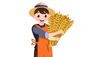 芒种，夏日，麦穗，卡通人物