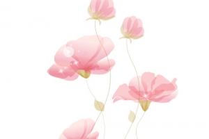 鲜艳的花朵