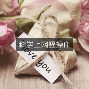 科学上网安全指南