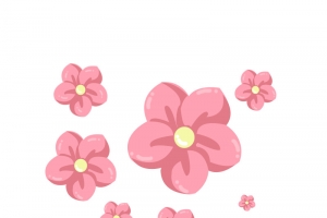粉色的花