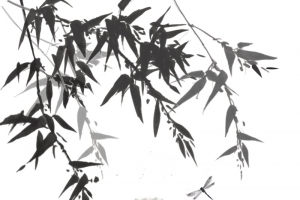 中国风水墨竹文化免抠
