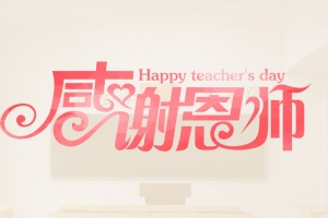 教师感恩节康乃馨花朵庆祝