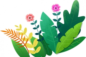 手绘花草装饰元素