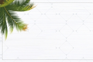 清新文艺椰树椰子椰汁饮料淘宝banner