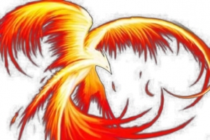 黄红色火焰凤凰装饰