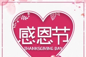 简约精美温馨粉色感恩节促销海报