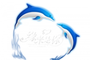 情人节海豚素材