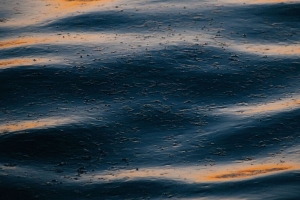 水 波浪 波纹 浅色 4k壁纸 3840x2160