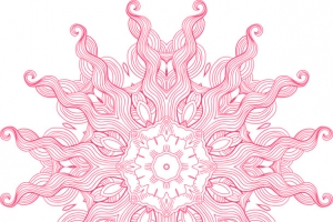 矢量太阳花纹