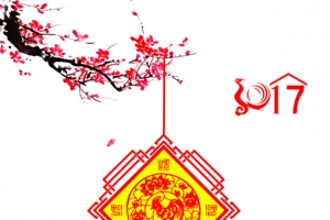 2017年中国结