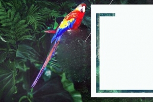 写实风热带树木淘宝banner
