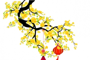 迎春花高清下载