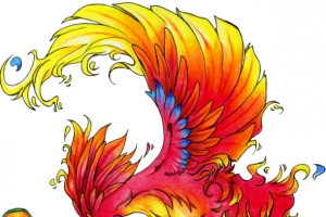 充满活力的火凤凰