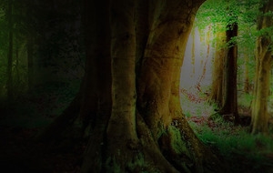 美式风格背景banner