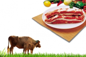 食材海报元素高清PNG透明动物装饰设计素材免费下载