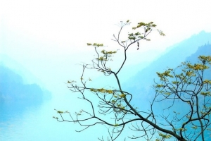 柳暗花明又一村大屏