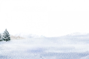冬日户外美景大树雪地
