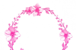 花，花瓣，花朵79