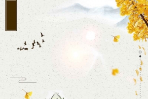 清新简约重阳节爱老敬老