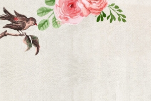 燕窝补品药材水墨banner海报