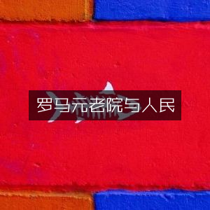 罗马元老院与民众，深入探索历史文化书籍