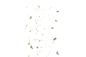 漂浮金粉