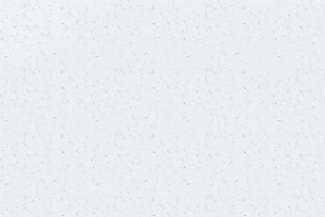 简约时尚文明餐桌公约